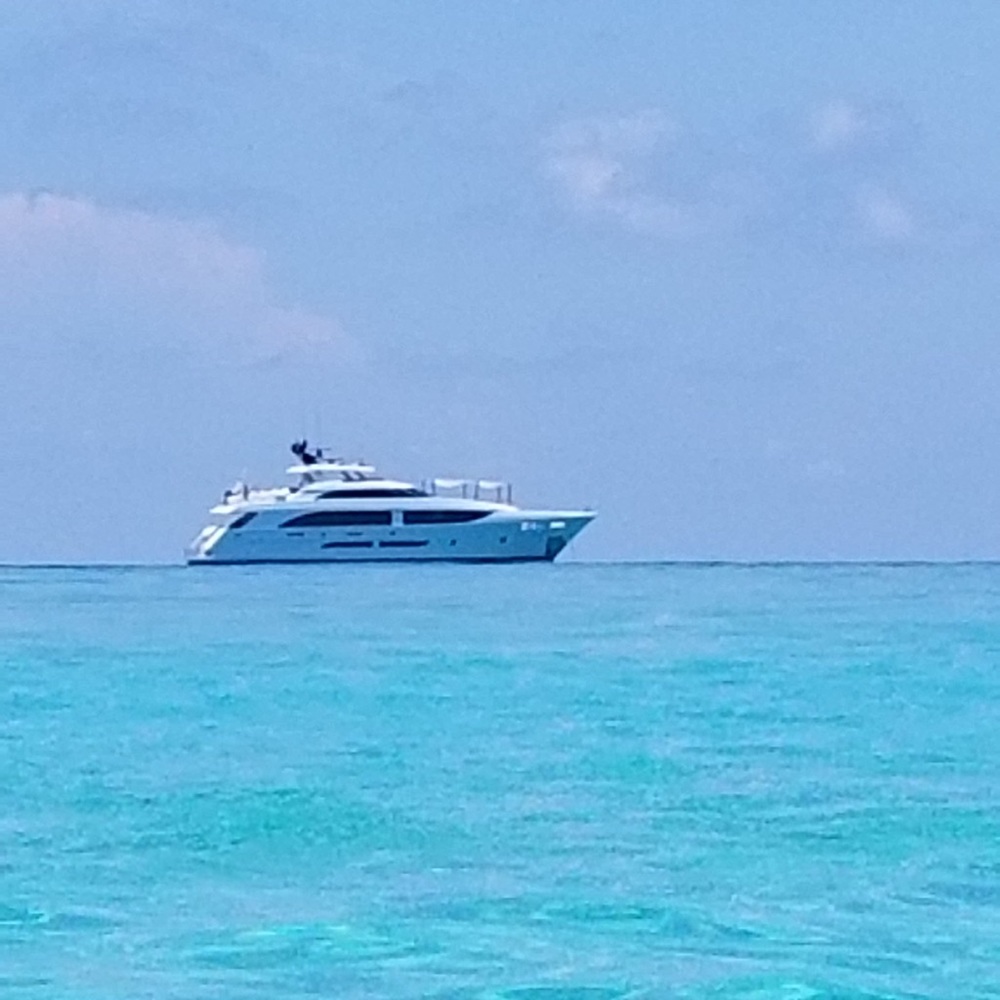 Meet your Posher, Shannon